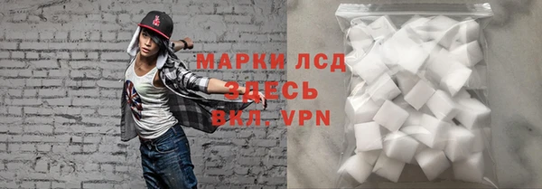 шишки Бородино