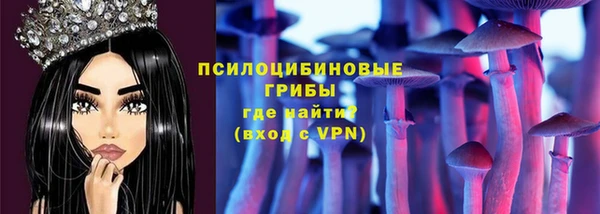 ешки Бронницы