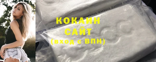 шишки Бородино