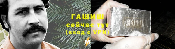 шишки Бородино