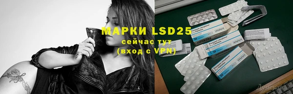 шишки Бородино
