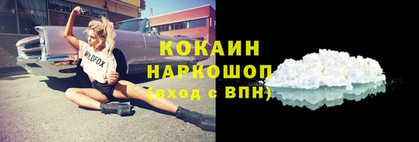 шишки Бородино