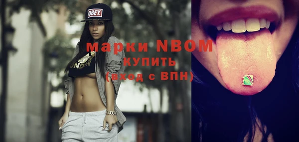 ешки Бронницы