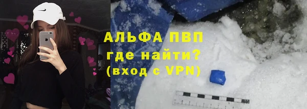 шишки Бородино