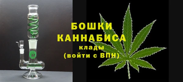 шишки Бородино