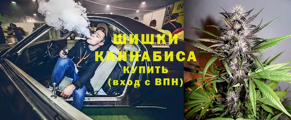 ешки Бронницы