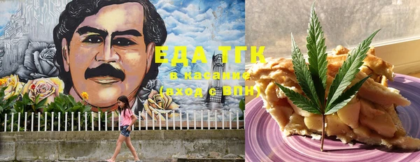 шишки Бородино