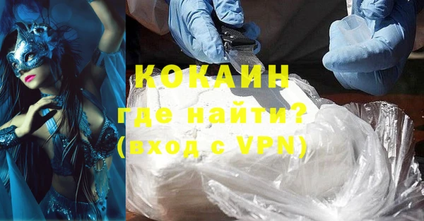 шишки Бородино