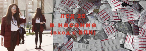 шишки Бородино