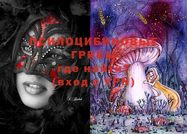 ешки Бронницы
