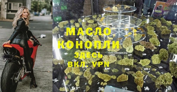 шишки Бородино