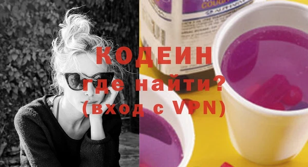 шишки Бородино