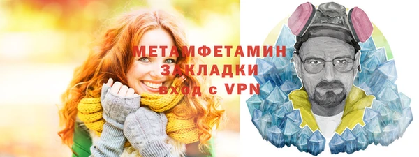 шишки Бородино